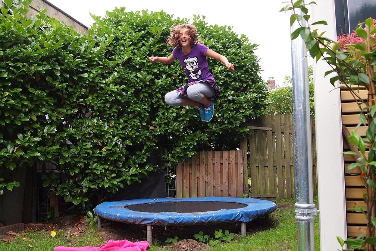 Backyard trampoline on a residential lawn behind a wooden privacy fence, with a suburban house in the background.